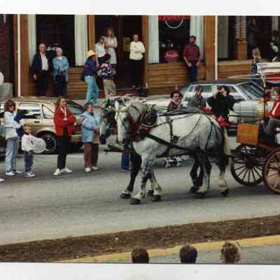 Brunswick's 250th anniversary parade