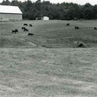 A farm on White House Crossing Road