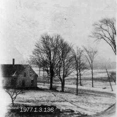 Winter Scene