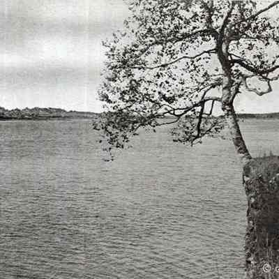 Basin Cove