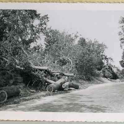 Hurricane of 1954, Elm St, Topsham