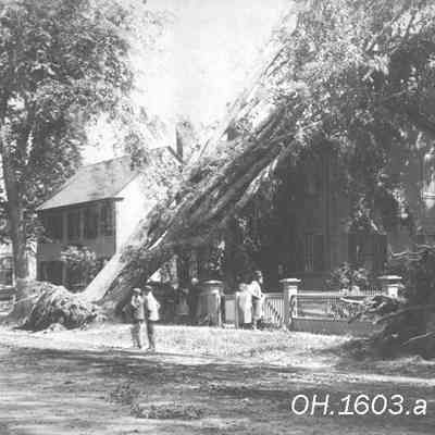 Wind Storm Damage, 25 Federal Street