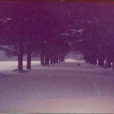 Driveway to Pine Springs Water Company Building in the Winter
