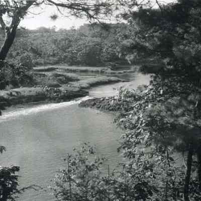 A photo of Buttermilk Cove.