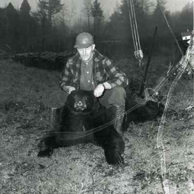 Clarence Skolfield shoots a bear