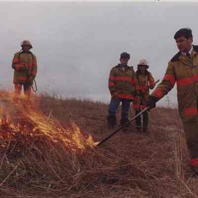 A photo view of firemen burning grass. 4/13/1988.