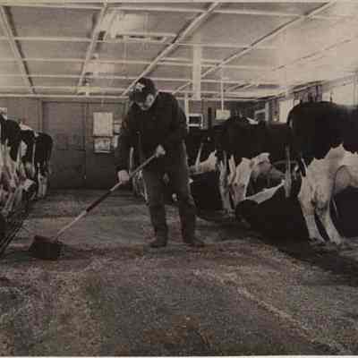 A photo view of Ed Totman. 3/14/1977.