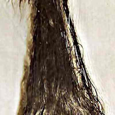 Unknown Long-Haired Woman