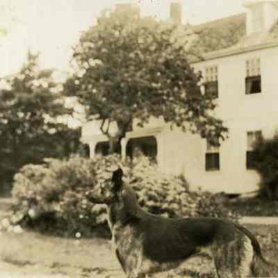 Otter Brook Farm