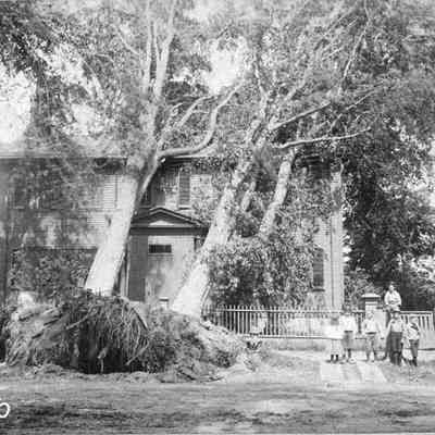 Wind Storm Damage, 25 Federal Street