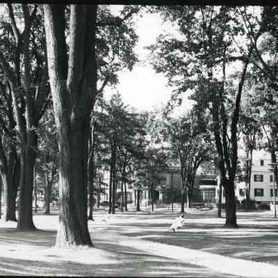 The Brunswick Mall Looking Towards Park Row