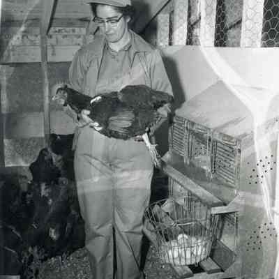A photo of a lady holding a hen.
