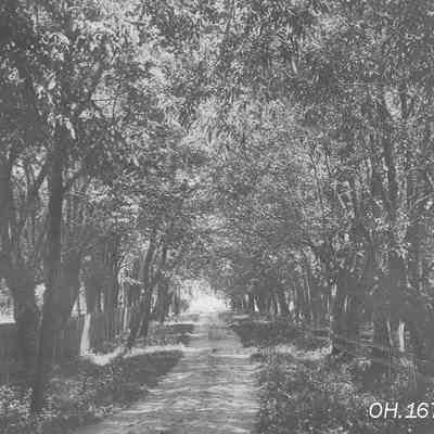 Woodlawn Road