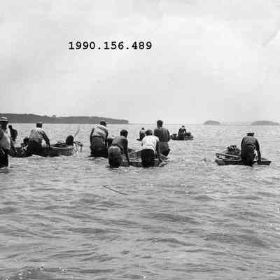 Moving Quahogs