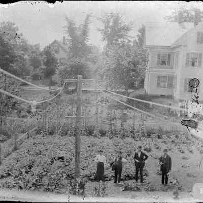 Four people standing in front of a garden.