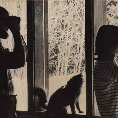Jan, Liz Pierson