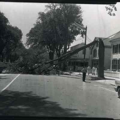 A photo of a tree down at the corner of Everett and Maine Streets.