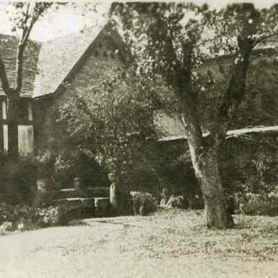 Dorothy Dennison's Garden