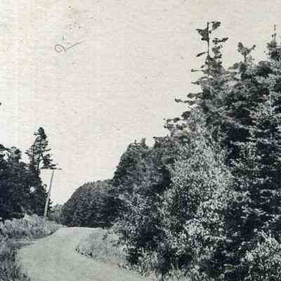 Old Wood Road, Bailey Island