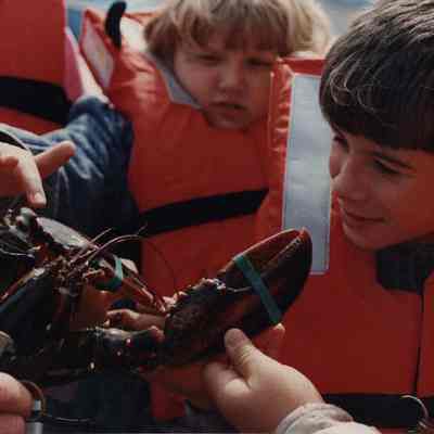 A photo view of two boys looking at a lobster. 5/24/1989.