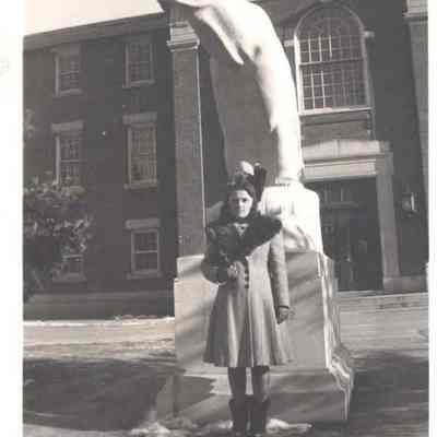 A photo view of the Bowdoin polar bear.