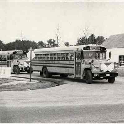 School buses