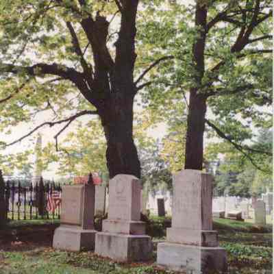 A photo of Chamberlain family gravesite.