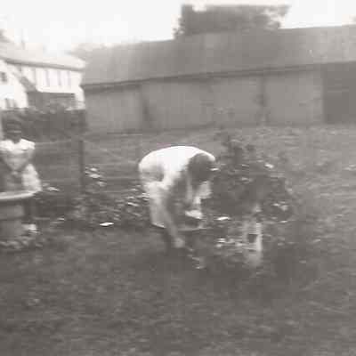Unknown Woman Gardening