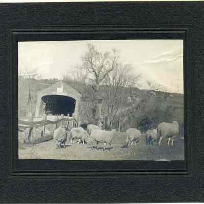 Covered Bridge