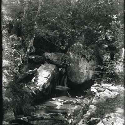 Simpson's Brook