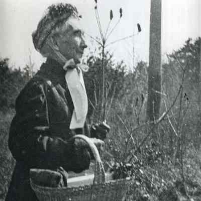 Helen M. Root Adams