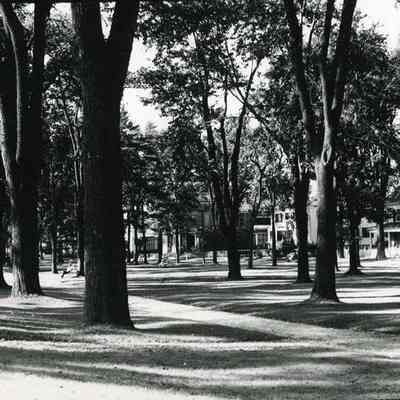The Brunswick Mall