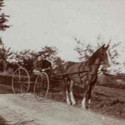 Horse and Buggy