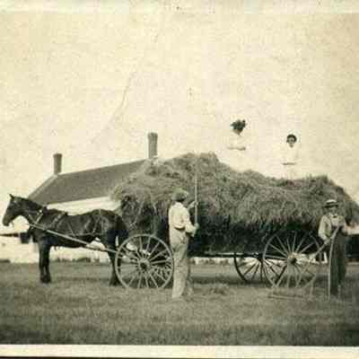 Haying in Harpswell