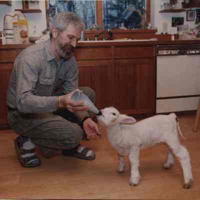 A photo view of Pete Galle and Tilly the lamb. 1/3/1992.