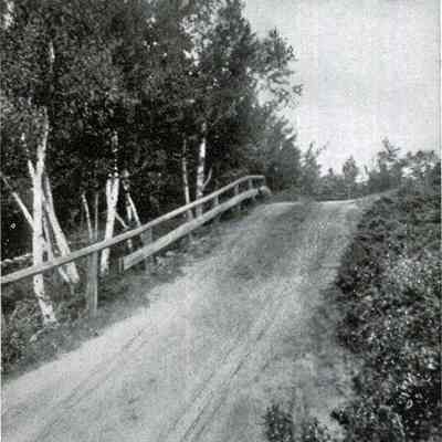Forest Lane