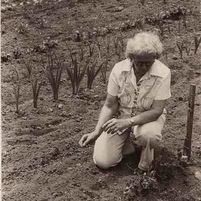 A photo view of an unknown woman. 6/24/1976.