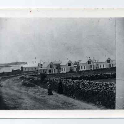 Auburn Colony