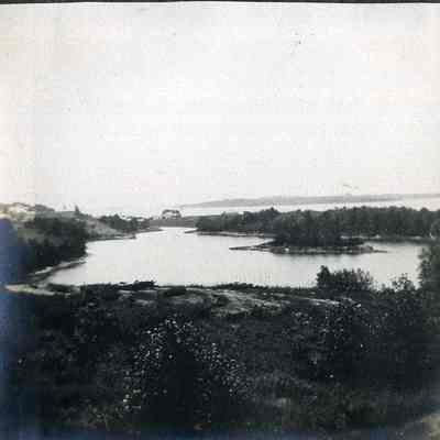 The Cove