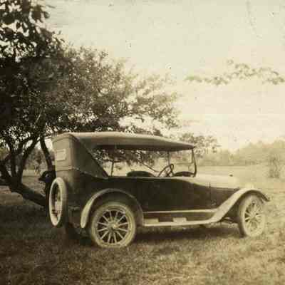 Antique Car in a Field