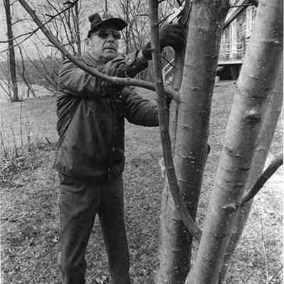 Wilbur Purinton