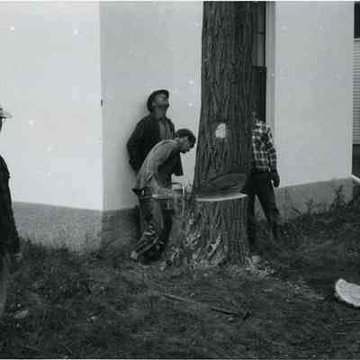 Tree Cutting, During Route 1 Construction