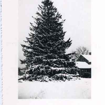 Old Frost Home