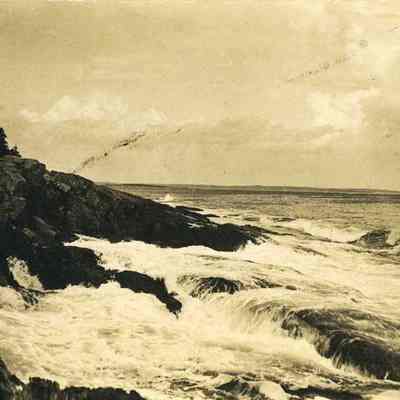 Shoreline