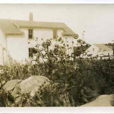 Windjammer Cottage