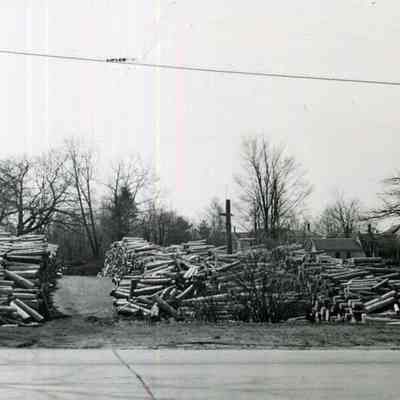 Pulp Wood from 1936 flood