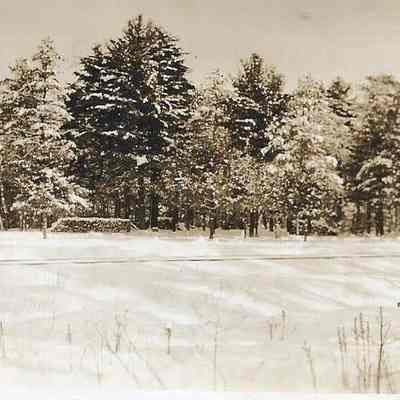Wintery Scene