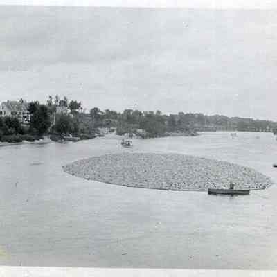 Pulp Logs, Androscoggin River