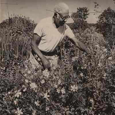 Arthur Clayton