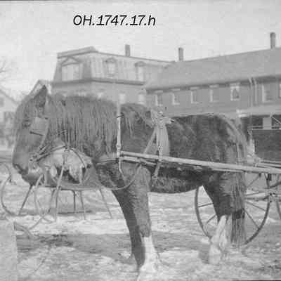 Horse and Cart